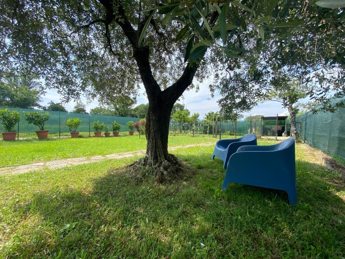 Casa Marcobando Villa Lucca Ngoại thất bức ảnh