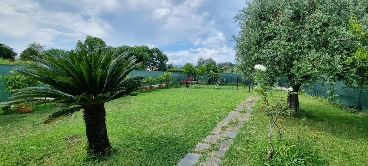Casa Marcobando Villa Lucca Ngoại thất bức ảnh