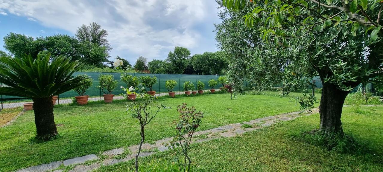 Casa Marcobando Villa Lucca Ngoại thất bức ảnh
