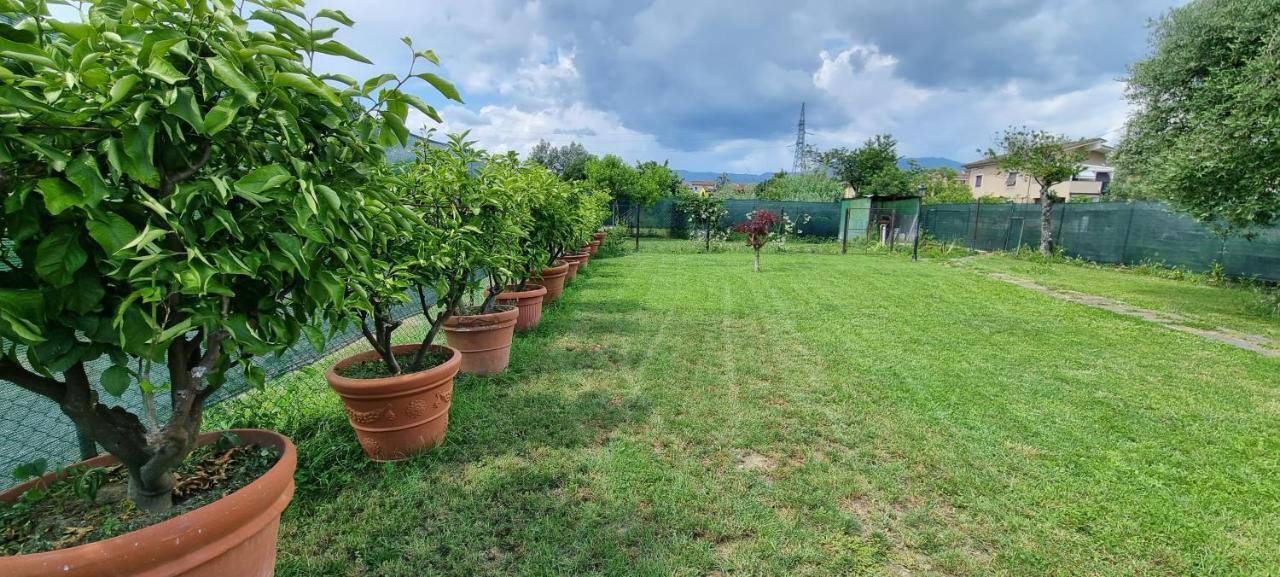 Casa Marcobando Villa Lucca Ngoại thất bức ảnh
